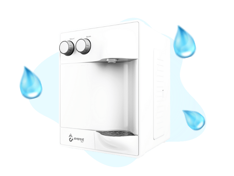 Purificador Everest Goiânia